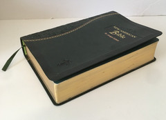St. Joseph Edition Of The New American Bible Revised 2011 Book Green