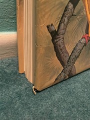PARROTS OF THE WORLD Forshaw/Cooper 1973 First Edition ISBN 0385056281