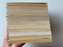 TIGER RISING~Kate DiCamillo~GUIDED READING LOT 12~Class Set~FLORIDA WOODS~Grief~