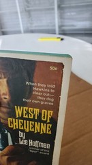 West of Cheyenne By Lee Hoffman Dell Publishing Western 1970 Paperback
