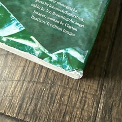 Still Missing A Novel