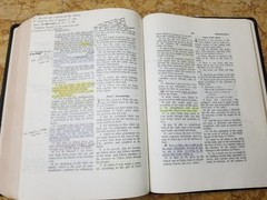 RARE 1999 USA NASB Bible Wide Margin Unknown Leather Opaque Paper USED L@@K🌟