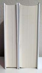 Jeff Vandermeer = AMBERGRIS + SOUTHERN REACH (AREA X) Trlilogies = 2 hc 1st/1st