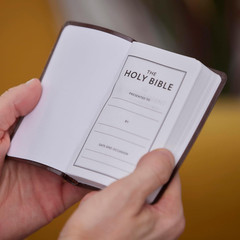 Holy Bible: Pocket New Testament with Psalms and Proverbs, Black, KJV