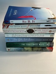 7 Fiction Book Bundle Lot- Women’s literature different authors