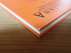 Bewußtsein und Wissenschaft von Kunio Kozu (1999, Gebundene Ausgabe)