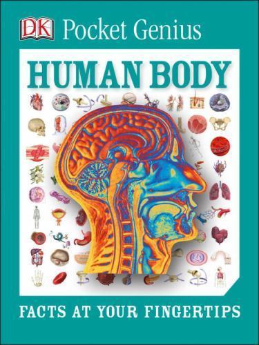 Pocket Genius: Human Body: Facts at Your Fingertips by