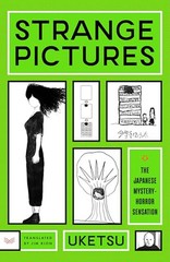 Strange Pictures A Novel – GOOD