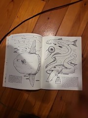 Strange Creatures of the Sea Coloring Book by Llyn Hunter (1991, Trade…