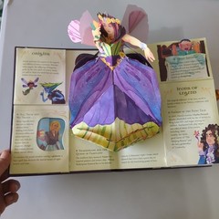 Fairies and Magical Creatures by Matthew Reinhart and Robert Sabuda 2008