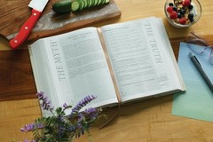 Flourish: The NIV Bible for Women, Hardcover, Multi-color/Cream, Comfort Print