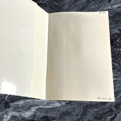 My Life at Sri Ramanasramam (1993) Suri Nagamma PB VG Ramana Maharshi India