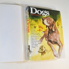 Rien Poortvliet – DOGS – Vintage 1983 Hardcover Art Book