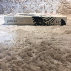 Jurassic Park Science Thriller Hardcover Michael Crichton 1990 First Edition