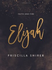 Elijah – Bible Study Book: Faith and Fire – Paperback – GOOD