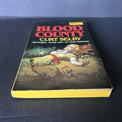 Blood County by Curt Selby (Doris Piserchia) 1981 DAW Books #436 1st Printing PB