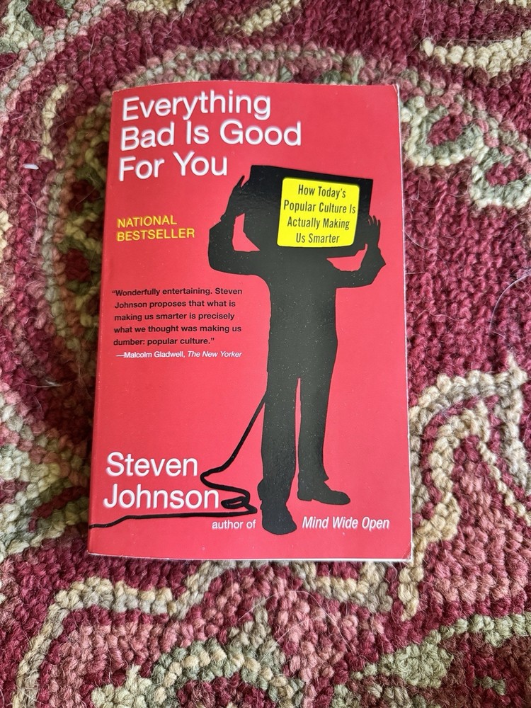 Everything Bad Is Good for You by Steven Johnson (2006, Library Binding)