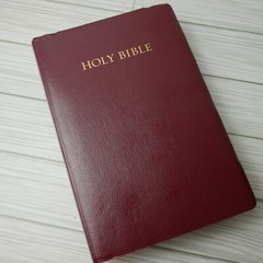 Holy Bible Thomas Nelson New King James Version Words of Christ in Red 1994 READ