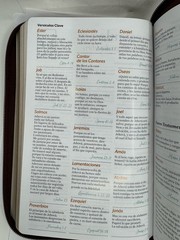 Biblia Letra Grande 11.5 Puntos Rv1960 con Cierre Marrón Elegante