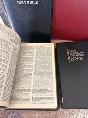 Lot Of 6 Bibles, Free Shipping (578)