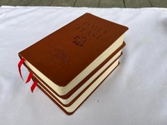 Daily Feast : Meditations from Feasting on the Word (Years A, B and C together)