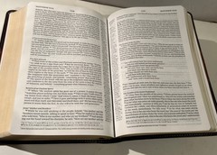 ESV Personal Reference Holy Bible Brown Tan Tru-Tone Single Column Side Ref.
