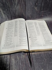 The Ryrie Study Bible NASB Red Letter, Genuine Leather, Black
