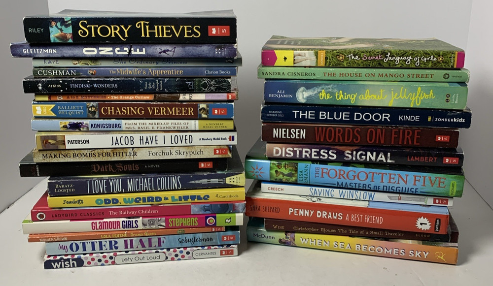 Girls Chapter Book Lot 29 Mango Street Chasing Vermeer Jellyfish Mixed Set