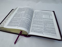 Companion Bible: King James Version, Burgundy, Bonded Leather FAST SHIP!!!