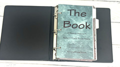 ’THE BOOK of Ty BEANIE BABIES’ by LYNN & LEE DRALLE to CATALOG COLLECTIONS