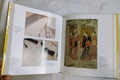 THE LAST TOSA: IWASA KATSUMOCHI MATABEI, BRIDGE TO UKIYO-E By Sandy Kita *Mint*