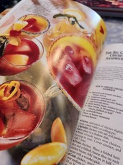 Southern Living 1995 Annual Recipes Cookbook Every Recipe from 1995 368 Pages