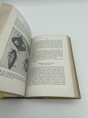 Insects And Their Control By Andrew Wilson 2nd Printing 1931 Horticulture Nature
