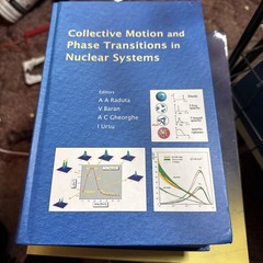 Collective Motion and Phase Transitions in Nuclear Systems : Proceedings of the