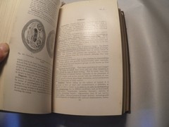 Principles of Pathologic Histology Mallory 1918 Medical Textbook Illustrated