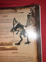 Two Worlds–The Official Strategy Guide 368 PAGES