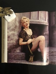 Marilyn A Biography Norman Mailer Spring Books 1989 Reprint HC DJ VG 🎬