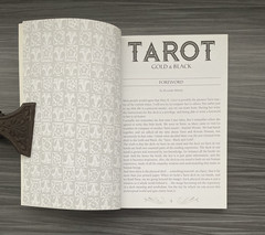 Tarot Black And Gold Edition – Lo Scarabeo – 128 Pages Guidebook – Book Only