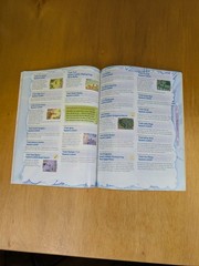 Rune Factory 2 A Fantasy Harvest Moon Bradygames Official Strategy Game Guide DS