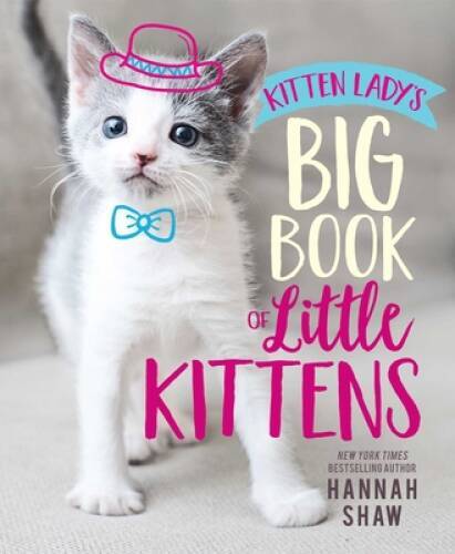 Kitten Lady’s Big Book of Little Kittens – Hardcover By Shaw, Hannah – VERY GOOD