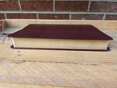 VG! TNIV Large Print Thinline Bible Deep Burgundy Bonded Leather OOP