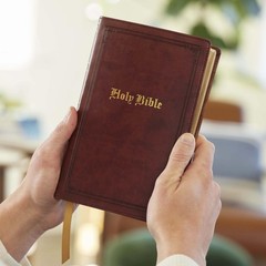 KJV Holy Bible: Personal Size Giant Print, Brown Leathersoft, Red Letter,…