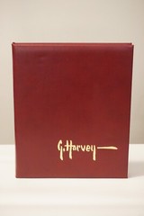 The Golden Era: A Celebration of Light by G. Harvey