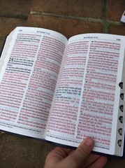 KJV Large Print Bible | Blue Faux Leather | Thumb-Indexed | King James Version