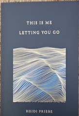 This Is Me Letting You Go by Heidi Priebe Trade Paperback Thought Catalog 2016