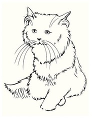 Kittens for Kids Coloring Book: Family Pet Serie 108 Pages 8.5 x 11 for All Ages