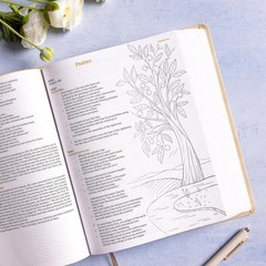 CSB Illustrator’s Notetaking Bible – Large Print, Luxurious LeatherTouch Cover