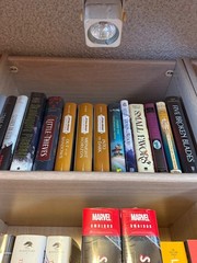 Lot of 10 Young Adult YA Books – Teen Fiction Novels Mixed Genres Bulk Lot