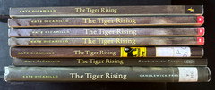 7 Lot THE TIGER RISING Guided Reading Books Teacher Lot Kate DiCamillo AR 4