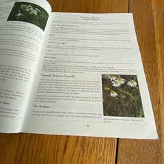 Holistic Guide to Wellness & Lost Book of Herbal Remedies Paperback